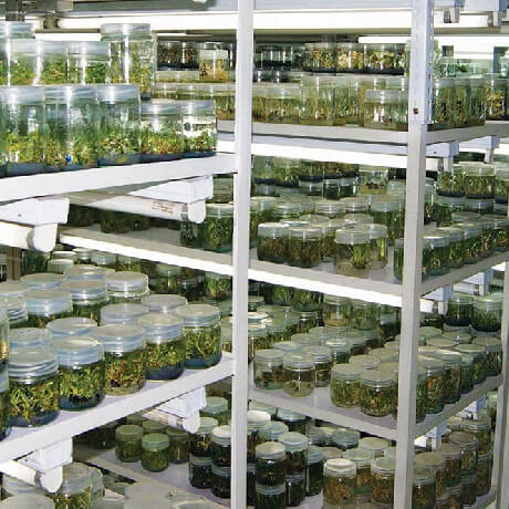 precision laboratory furniture Industries tissue culture rack coimbatore